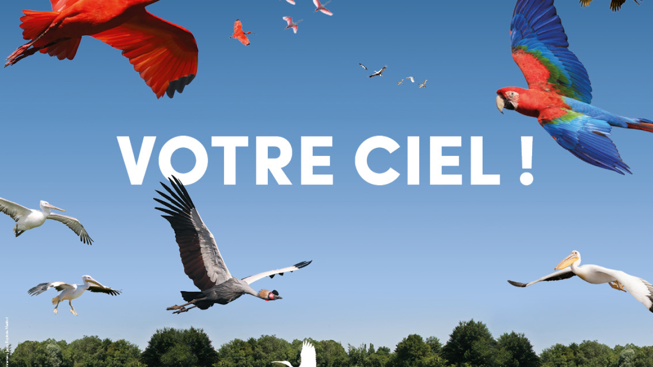 PARC DES OISEAUX