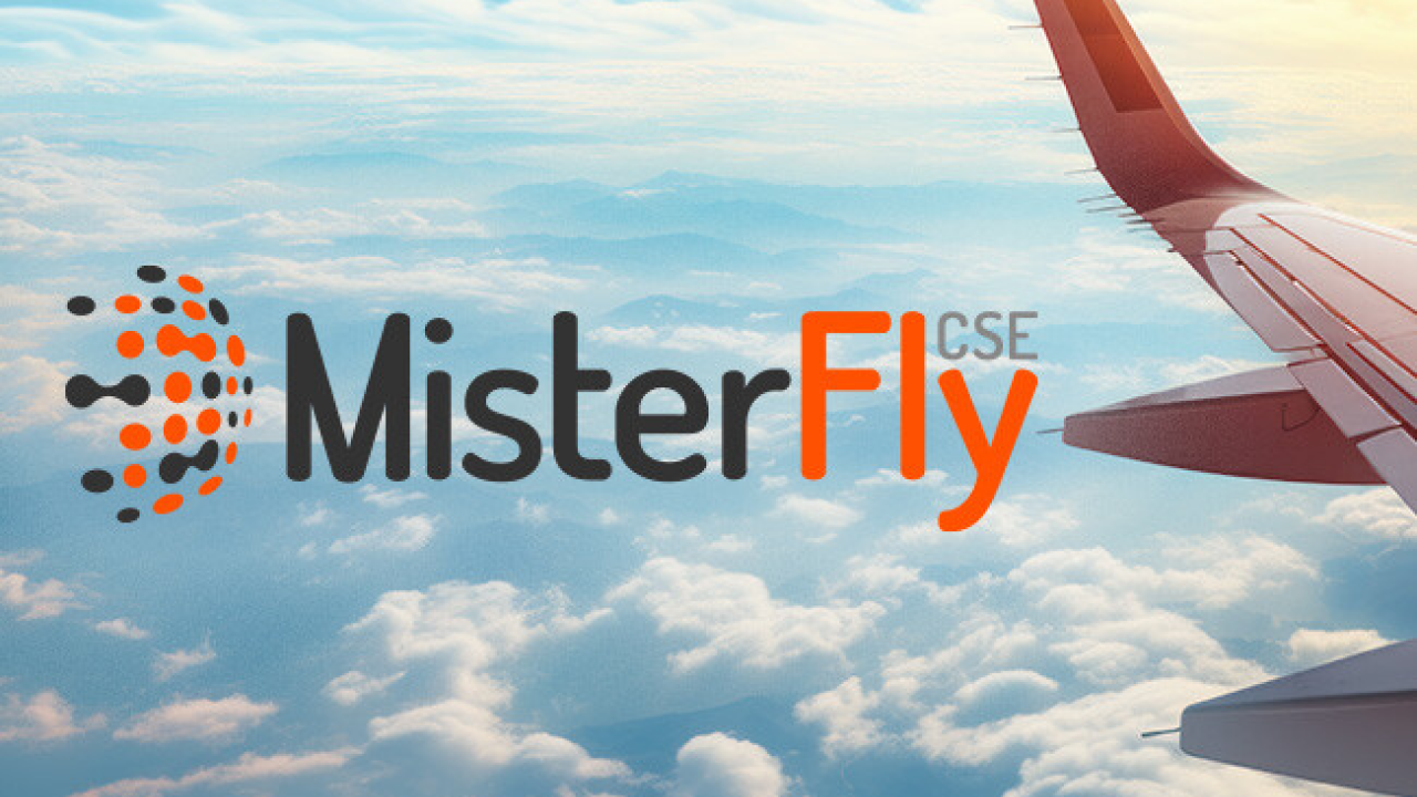 MISTER FLY 