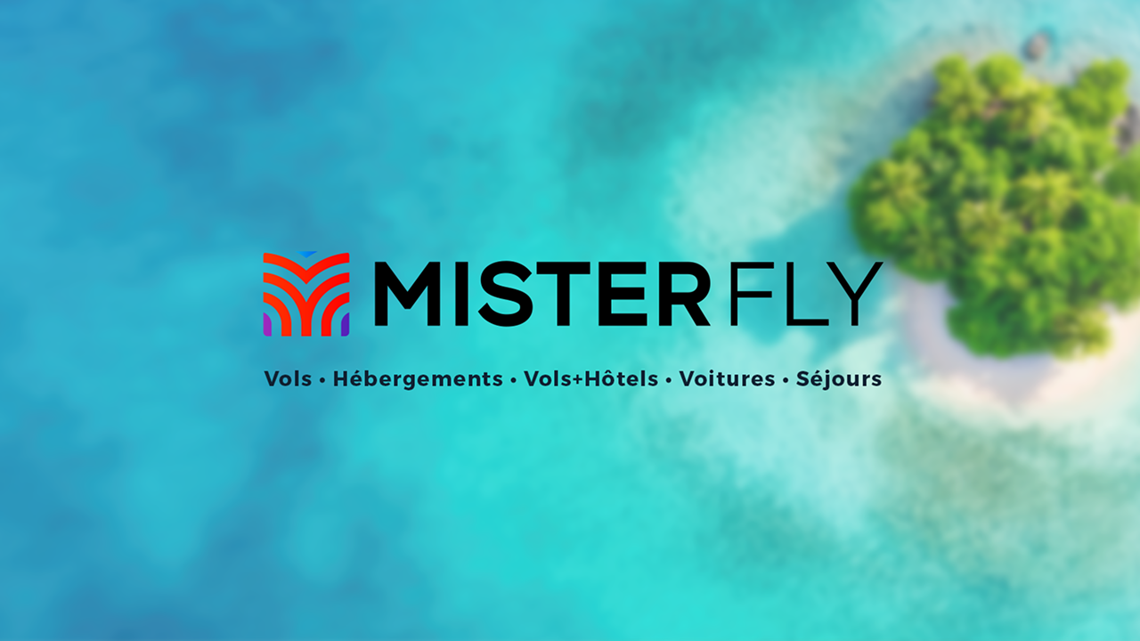 Misterfly